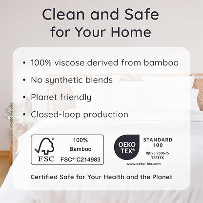 Bambaw 100% Viscose Derived from Bamboo Sheets Queen Size Deep Pocket Set – 4pcs Hotel Luxury Bed Sheets Set, Fits Up to 16'' with Elastic Corner Straps, Ultra Soft Cooling Sheets Queen Size (White)