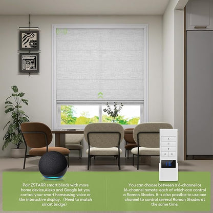 ZSTARR Smart Roman Shades Rechargeable Motorized Blinds with Remote Light Filtering Roman Window Shades Plain Fold Soft for Doors Bedroom, Custom Size (Light Gray)