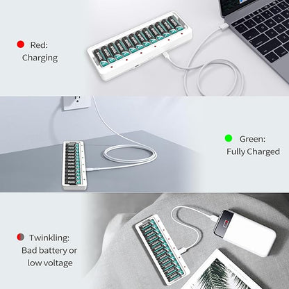 Dlyfull 12 Bay AA AAA Battery Charger, USB and Type-C Selectable High-Speeding Charging for Ni-MH Ni-CD Rechargeable Batteries, USB Cable Included