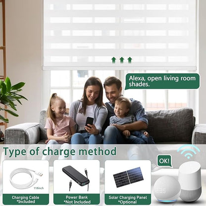 COOLWINDS Motorized Zebra Blinds for Windows Cordless Electric Curtains with Remote Control Blackout Shades Custom Smart Blinds Compatible with Alexa Google Home(Light Filtering White,W49 X 72in)