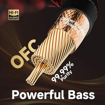TODN HiFi Digital Coaxial Audio Cable for Audiophile 75-Ohm SPDIF Coax Subwoofer Cable RCA to RCA with OFC Core and Shielded (3ft /1m)