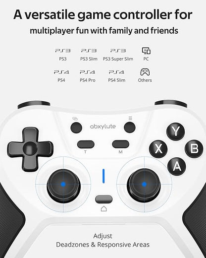 abxylute C5P Wireless Gaming Controller for PC/Switch/iOS/Android/PS3/PS4/Steam/MAC, 2.4 GHz Hall Effect Stick & Trigger Turbo-Remappable Back Buttons Rubberized Grip Console Layout Gamepad Vibration