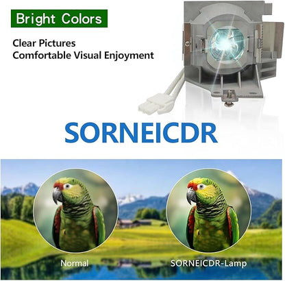 SORNEICDR RLC-093/RLC-092 Replacement Projector Lamp Bulb Compatible with Viewsonic PJD5153 PJD5155 PJD5255 PJD6350 PJD5555W PJD6550Lw PJD6551Lws PJD6350 PJD5353LS Projector Lamp Bulb with Housing