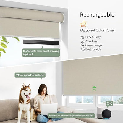 ZSHINE Motorized Blackout Window Blinds Customize Width Remote Control Rechargeable Motor Roller Shades for Windows, Home, Office, Hotel, Club, Restaurant(82026C)…