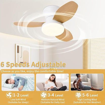 Glowall Small Ceiling Fan with Lights, 25 Inch Flush Mount with Remote Control, Reversible Quiet DC Motor, 3 Blades, 6 Speeds, Dimmable LED, Adjustable Color Temperature, Timer