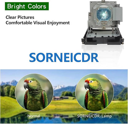 SORNEICDR BL-FU310B / 5811118436-SOT Replacement Projector Lamp Bulb Compatible with OPTOMA DH1014 DH1017 EH500 X600 Projectors, with Housing