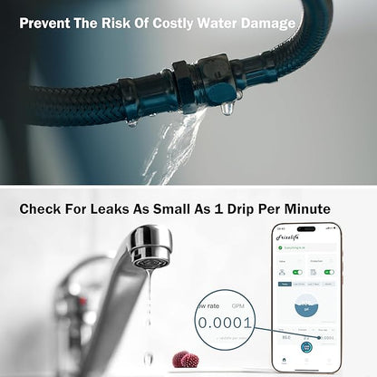 Frizzlife LP365-P 1.25-Inch Smart Water Monitor and Automatic Shutoff - 0.01GPM Ultrasonic Micro Leak Detection, APP Wi-Fi Remote Control,Pressure+Flow Monitoring, for 1-1/4-Inch Diameter Pipe