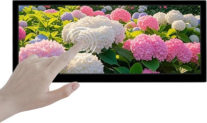 VSDISPLAY 10.3 Inch Touch LCD Monitor 1920x720 IPS Supports USB Flash Drive 2.0 Auto Copy Auto Play Split Screen for Elevator Restaurants Supermarket Store Extra Advertising Display