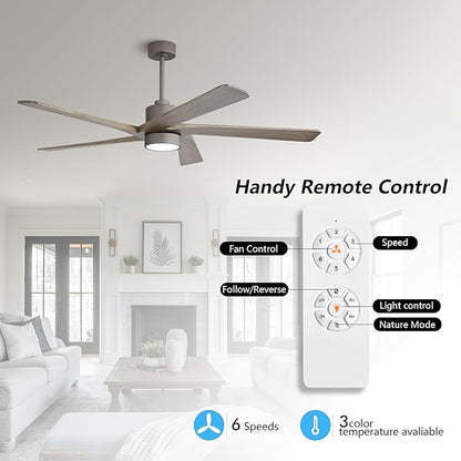 WINGBO 54 Inch DC Ceiling Fan with Lights and Remote Control, 5 Reversible Carved Wood Blades, 6-Speed Noiseless DC Motor, Modern Ceiling Fan in Graphite Finish with Gray Blades, ETL Listed