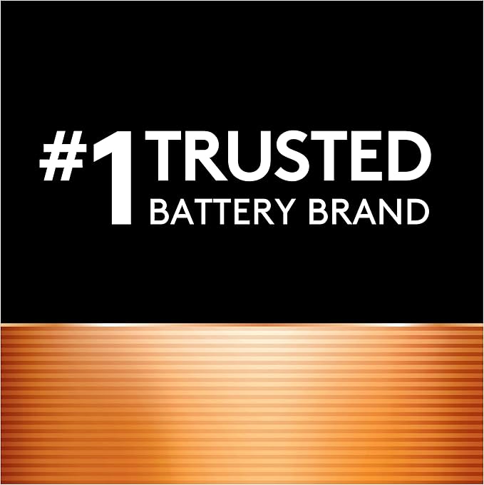 Duracell Rechargeable AAA Batteries, 6 Count (Pack of 1) Triple A Battery for Long-lasting Power, All-Purpose Pre-Charged Battery for Household and Business Devices