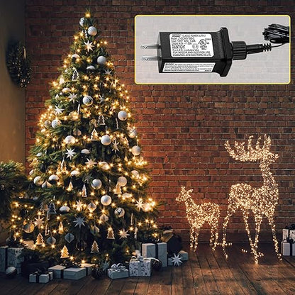 4.5V 1A LED Controller with Extension Cord, Replacement Model JT-DC45V1000-C Class 2 Power Supply IP44 LED Light Controller Low Voltage Transformer for Halloween Christmas Holiday String Light