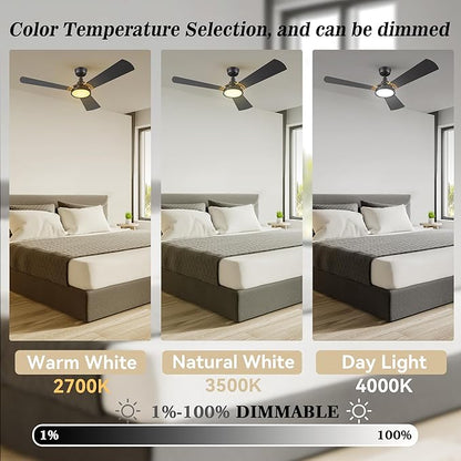 SMAAIR 56 Inch Smart Wifi Ceiling Fans with Dimmable LED Lights and Remote, Compatible with Alexa/Google Home/Siri/APP, Outdoor DC Fans with 10 Speeds, Timer/Schedule,Black/Gold