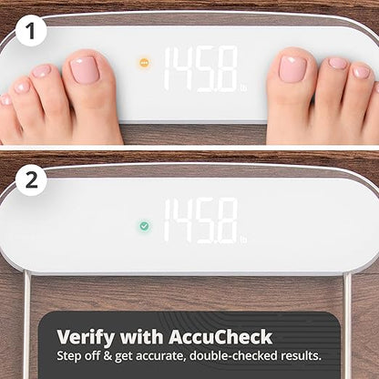Greater Goods AccuCheck Digital Scale for Body Weight - Accurate Digital Bathroom Scale with High-Precision Sensors, Large Easy-to-Read Backlit Display, 400 lb Capacity, Auto Step-On (Clear)