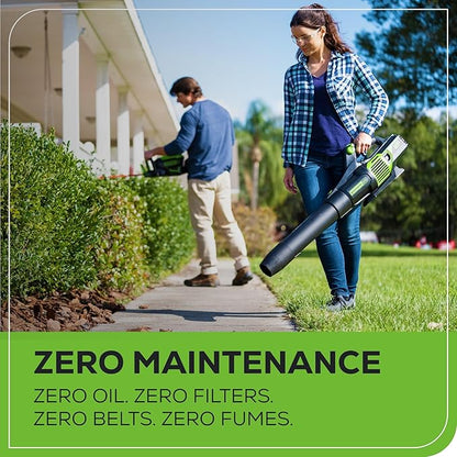 Greenworks 60V (610 CFM / 130 MPH) Cordless Leaf Blower, High Power, Lightweight & Quiet Operation for Wet Leaves, Driveways and Dense Gravel, Includes 2.5Ah Battery & 5A Rapid Charger