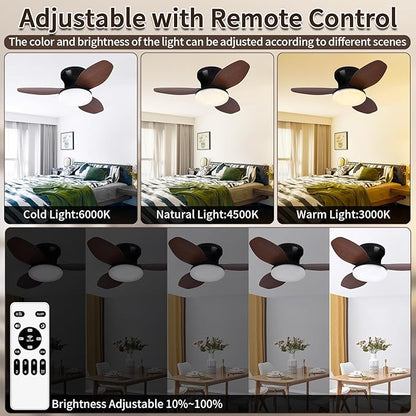 Glowall Small Ceiling Fan with Lights and Remote, 25 Inch Flush Mount, Reversible Quiet DC Motor, 3 Blades, 6 Wind Speeds, Dimmable LED, Adjustable Color Temperature, Timer