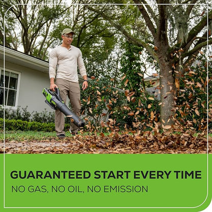 Greenworks 60V 700 CFM Brushless Leaf Blower, 5.0 Ah Battery and Rapid Charger