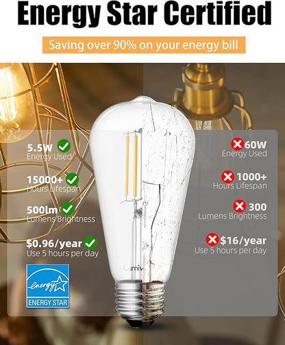 Lumiverse Dimmable Edison Bulbs 60 Watt LED, 2700K Soft White, Antique Style ST58 LED Filament Bulbs, E26 Base LED Bulb 5.5W, Clear Glass, Pack of 60