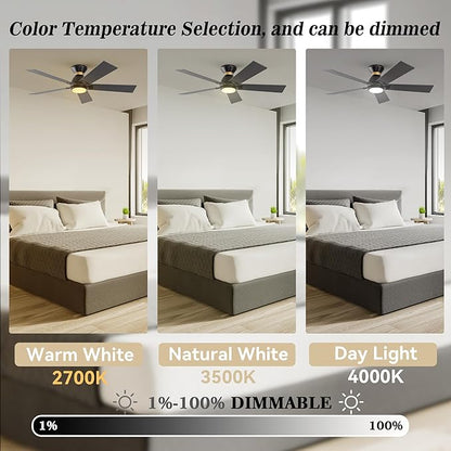 SMAAIR 52 Inch Smart Ceiling Fan with Light and Remote, Flush Mount Modern Ceiling Fan with lights,Compatible with Alexa/Google Assistant/Siri,Timer and Schedule,10 Speed DC Motor,Black