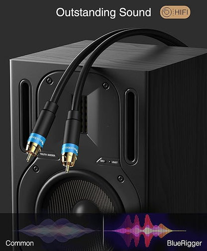 BlueRigger RCA Audio Subwoofer Cable (6FT, Dual Shielded, Gold Plated RCA Connectors) – for Subwoofer, Amplifier, Home Theater