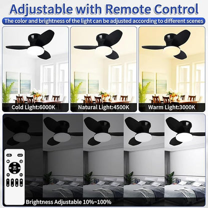 Glowall Small Ceiling Fan with Lights, 25" Flush Mount with Remote Control, Reversible Quiet DC Motor, Black, 3 Blades, 6 Speeds, Dimmable LED, Adjustable Color Temperature, Timer