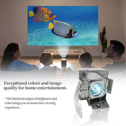 SORNEICDR RLC-085 RLC-078 Replacement Projector Lamp Bulb Compatible with Viewsonic PJD5533W PJD6543W PJD5134 PJD5132 PJD6235 PJD6245 PJD5234L PJD5232L PJD6246 Projector Lamp Bulb with Housing
