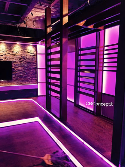 CBConcept UL Listed, 6.6 Feet, 720 Lumen, Pink, Dimmable, 110-120V AC Flexible Flat LED Strip Rope Light, 120 Units 3528 SMD LEDs, Indoor Outdoor Use, Accessories Included, Ready to use