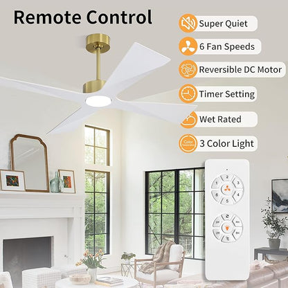 WINGBO 54" Wet Rated Outdoor Ceiling Fan with Lights, 4 ABS Plastic Blades, Reversible DC Motor, 6-Speed Remote Control, 3 CCT, Waterproof Ceiling Fan for Patio Porch Gazebo Garage, Brass and White
