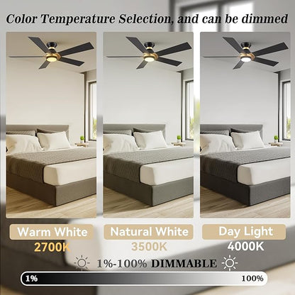 SMAAIR 52 Inch Smart Ceiling Fan with Light and Remote, Flush Mount Modern Ceiling Fan with lights,Compatible with Alexa/Google Assistant/Siri,Timer and Schedule,10 Speed DC Motor,Black/Gold