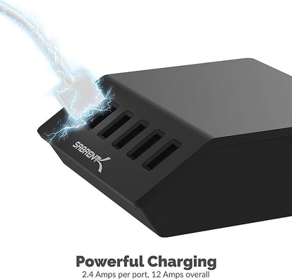 SABRENT Premium 60 Watt (12 Amp) 6 Port Aluminum Family Sized Desktop USB Rapid Charger.[UL Certified ] Smart USB Charger with Auto Detect Technology [Black] (AX-FLCH-B)