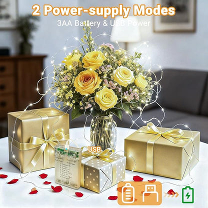 litogo 4 Pack Fairy Lights Battery Operated with Timer, 33FT 100LED Twinkle String Lights USB-C Powered 8 Modes Dimmable for Indoor Bedroom Centerpiece Wedding Classroom Dorm Christmas Decorations