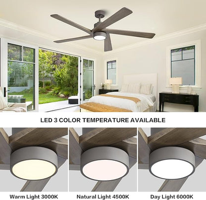 WINGBO 64 Inch DC Ceiling Fan with Lights and Remote Control, 5 Reversible Carved Wood Blades, 6-Speed Noiseless DC Motor, Modern Ceiling Fan in Graphite Finish with Gray Blades, ETL Listed