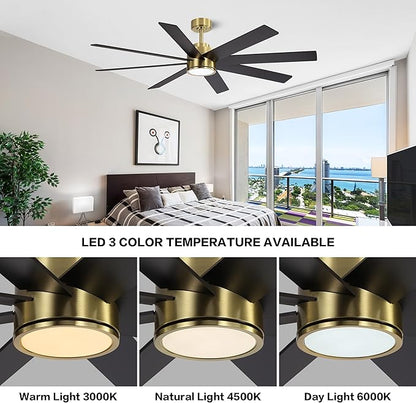 WINGBO 60" Large DC Ceiling Fans with Lights and Remote, 3 Downrods, 8 Plywood Blades, 6-Speeds Reversible DC Motor, 3CCT, Indoor Ceiling Fan for Bedroom Living Room Patio, Brass and Black