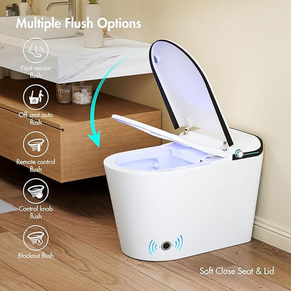 Eridanus Smart Toilet with Bidet Built in, One Piece Bidet Toilet for Bathrooms, Auto Open/Close with Digital Display, Foot Sensor Flush, Warm Water Wash & Dryer, Elongated Heated Seat, White & Black