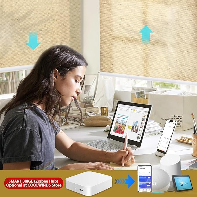 COOLWINDS Motorized Blinds with Remote Cordless Automatic Motorized Shades Custom Blinds for Windows Smart Curtains Compatible with Alexa Google Home(Light Filtering Linen Soft Dunes,W54 x H72in)