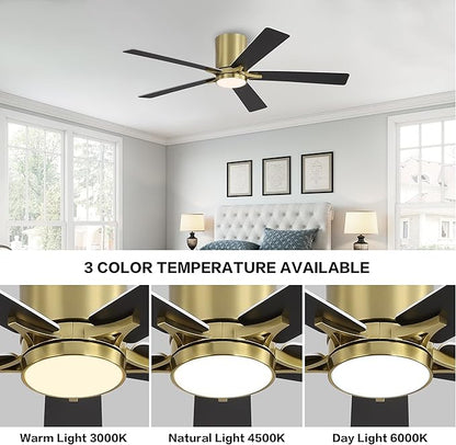 WINGBO 48" DC Flush Mount Ceiling Fan with Lights, 6-Speed Reversible DC Motor, 3CCT, Low Profile Hugger Ceiling Fan for Living Room Bedroom Kitchen, Brass Finish and Black/White Blades