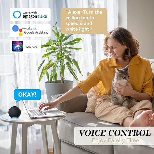 SMAAIR 52 Inch Smart Ceiling Fan with Light and Remote, Flush Mount Modern Ceiling Fan with lights,Compatible with Alexa/Google Assistant/Siri,Timer and Schedule,10 Speed DC Motor,Black
