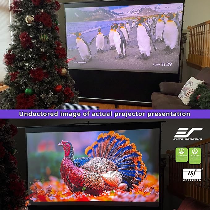 Elite Screens ezCinema Tab-Tension CineGrey 4D, 116-inch 16:9, Manual Floor Pull Up ISF Ceiling Ambient Light Rejecting, Portable Home Office Classroom Projector Screen with Carrying Bag, FT116UH-C4D