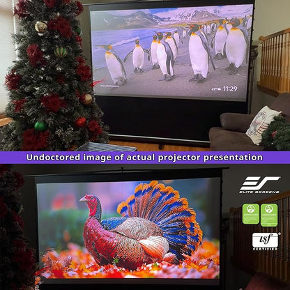 Elite Screens ezCinema Tab-Tension CineGrey 4D, 121-inch 16:9, Manual Floor Pull Up ISF Ceiling Ambient Light Rejecting, Portable Home Office Classroom Projector Screen with Carrying Bag, FT121UH-C4D