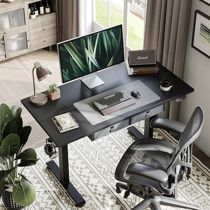 Agilestic Standing Desk with 2 Drawers, Adjustable Height Electric Desk with Storage, 48 x 24 Inches Sit Stand Up Computer Table for Work Office Home, Black