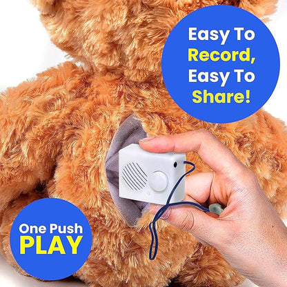 EZSound Box - 10 inch Extension Play Button for Stuffed Animals, Craft Projects, School Presentations, Hobbies, Personalized Items, Model Trains, etc - 200 Seconds - Rerecordable Thru Audio Port